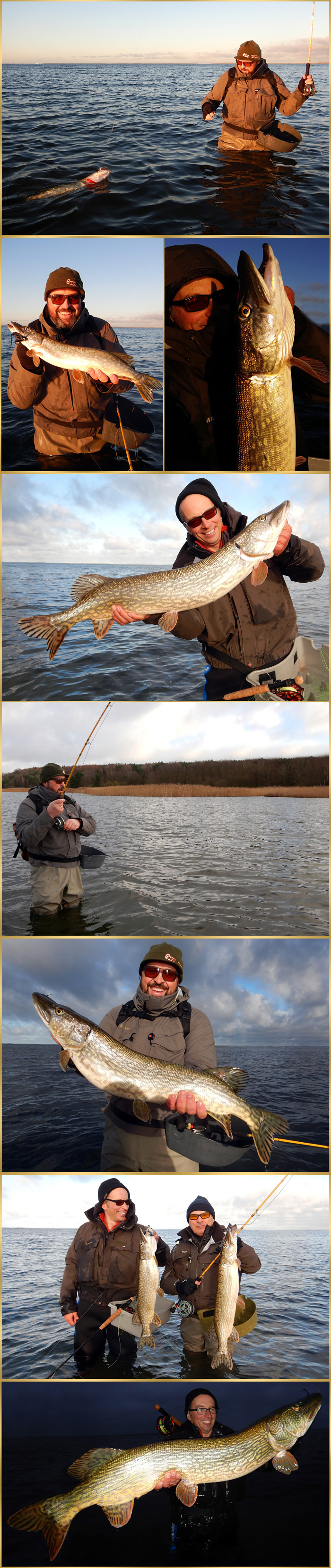 pike-record record-pike
