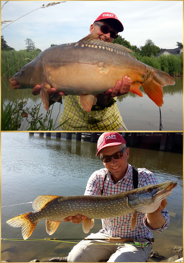 pike carp