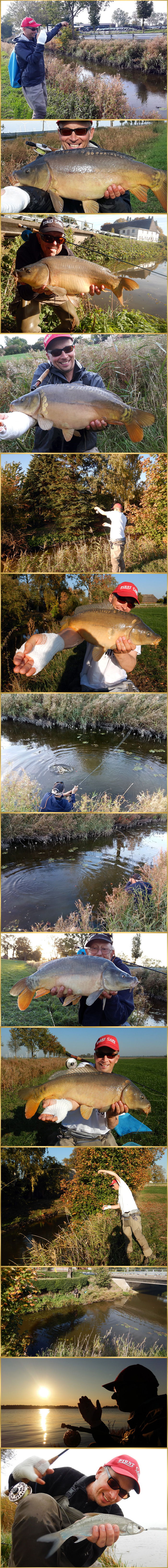 carp on fly