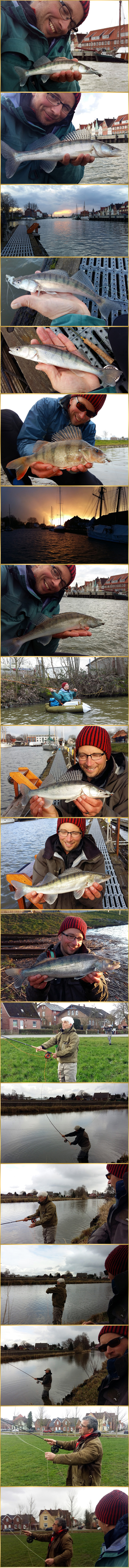 line set ups zander