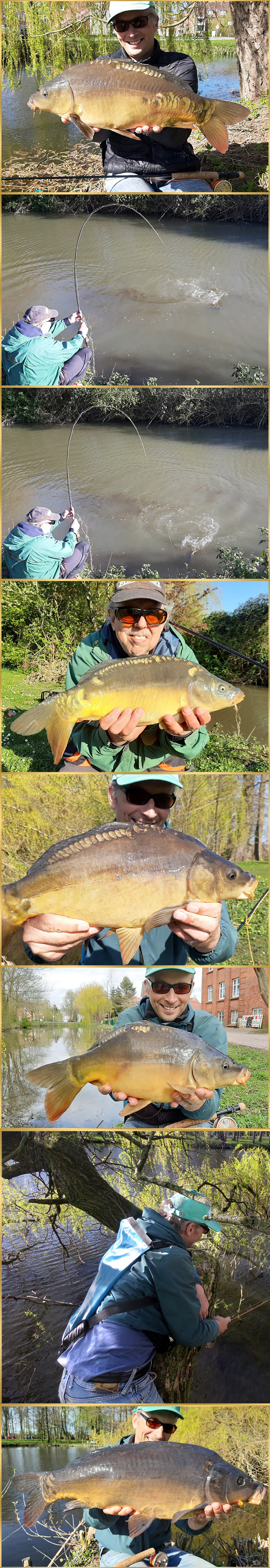 carp angling fly fishing