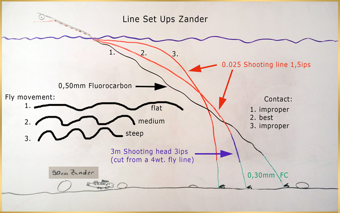 zander fishing ziesche