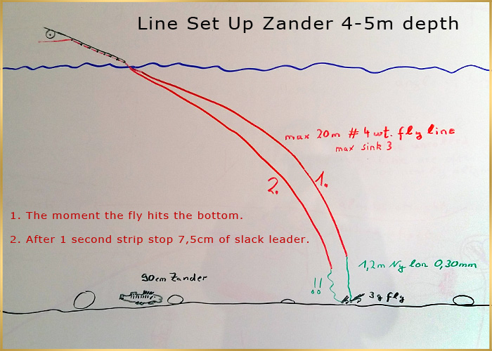 zander