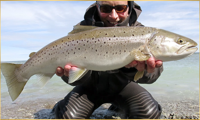 Gotland Sea trout fishing 